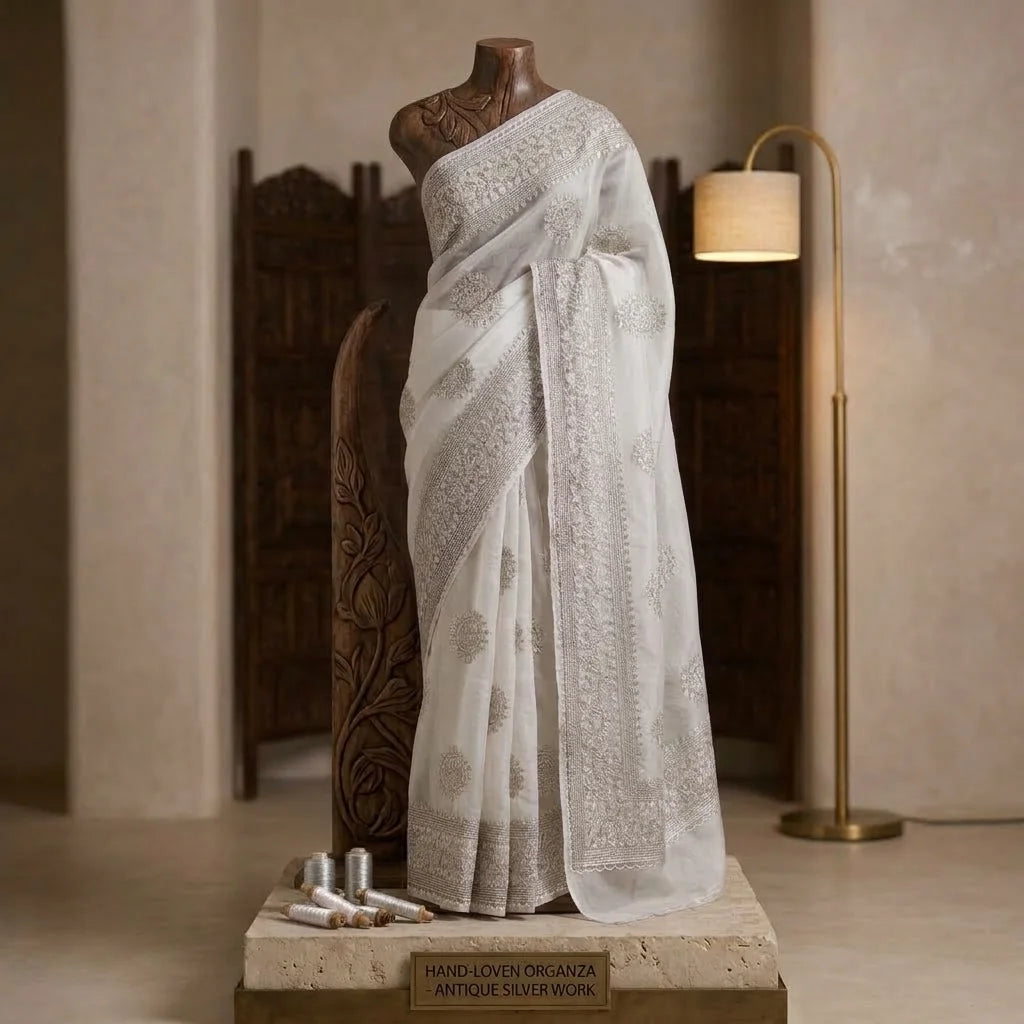 Organza Soft Saree 2