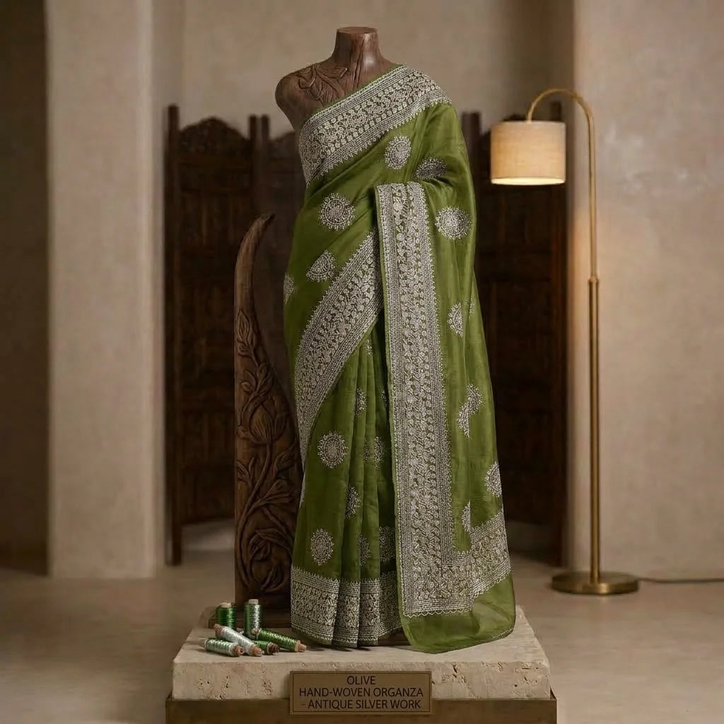 Organza Soft Saree 2